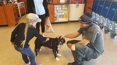 PetSmart PetSmart